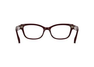 Rear view Calvin Klein CK25541 (605)