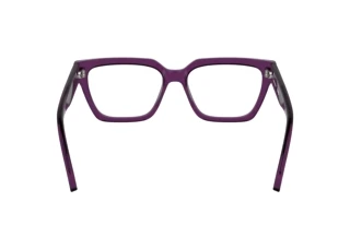 Rear view Calvin Klein CKJ25609 (208)