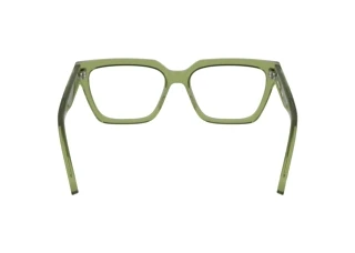 Rear view Calvin Klein CKJ25609 (746)