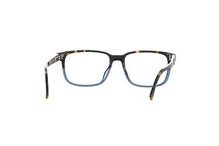 Rear view Carrera C FLEX 03/G (WR9/99)