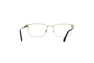 Rear view Carrera CARRERA 262 (2M2)