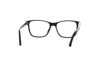 Rear view Carrera CARRERA 3009 (807)