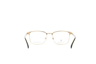 Rear view David Beckham DB 1059/F (I46)