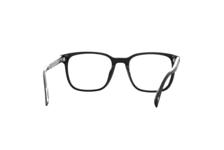 Rear view David Beckham DB 1083 (807)