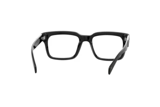 Rear view David Beckham DB 7107 (807)