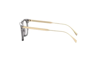 Side view David Beckham DB 7119 (FT3)