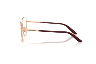 Side view Dolce & Gabbana DG1359 (1298)
