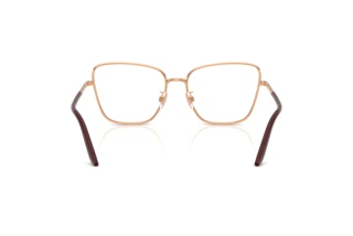 Rear view Dolce & Gabbana DG1359 (1298)