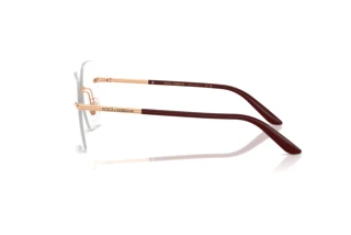 Side view Dolce & Gabbana DG1360 (1298)