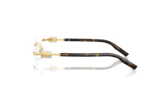 Side view Dolce & Gabbana DG1361 (02)
