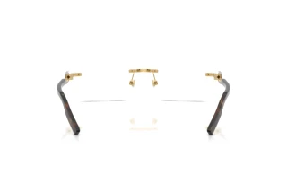 Rear view Dolce & Gabbana DG1361 (02)