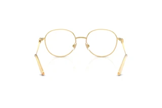 Rear view Dolce & Gabbana DG1365 (02)