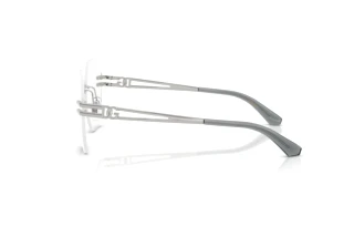 Side view Dolce & Gabbana DG1369 (05)