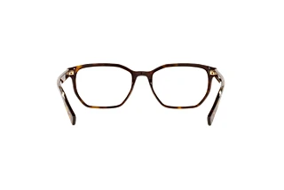 Rear view Dolce & Gabbana DG3338 (502)