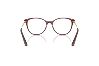 Rear view Dolce & Gabbana DG3363 (3442)