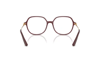 Rear view Dolce & Gabbana DG3364 (3442)