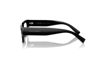 Side view Dolce & Gabbana DG3387 (501)