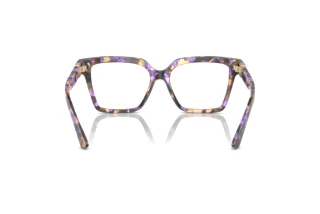 Rear view Dolce & Gabbana DG3395 (3439)