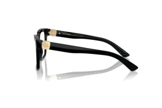 Side view Dolce & Gabbana DG3395 (501)