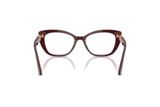 Rear view Dolce & Gabbana DG3398 (3091)