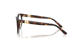 Side view Dolce & Gabbana DG3399 (502)