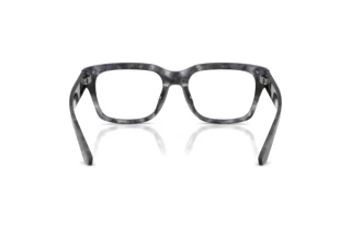 Rear view Dolce & Gabbana DG3416 (3445)