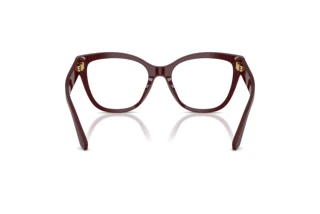 Rear view Dolce & Gabbana DG3418 (3091)