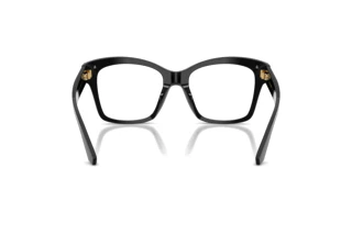 Rear view Dolce & Gabbana DG3419 (501)