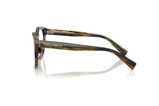 Side view Dolce & Gabbana DG3421 (3066)