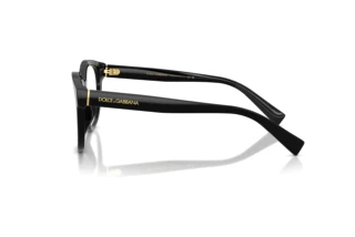 Side view Dolce & Gabbana DG3421 (501)