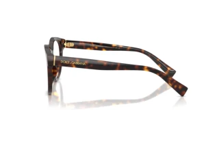 Side view Dolce & Gabbana DG3421 (502)