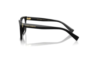 Side view Dolce & Gabbana DG3422 (501)