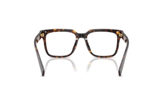 Rear view Dolce & Gabbana DG3422 (502)