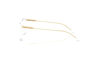 Side view Dolce & Gabbana DG3424 (3133)