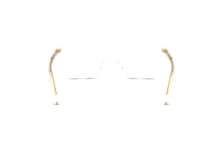 Rear view Dolce & Gabbana DG3424 (3133)