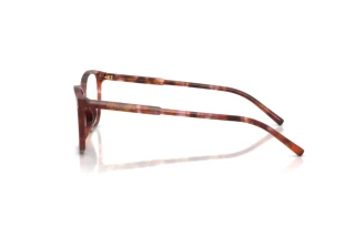 Side view Dolce & Gabbana DG3424 (3444)