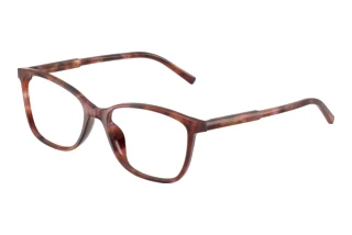 Front view Dolce & Gabbana DG3424 (3444)