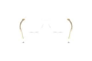 Rear view Dolce & Gabbana DG3425 (3133)