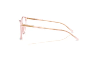 Side view Dolce & Gabbana DG3425 (3148)