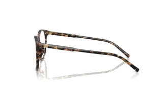 Side view Dolce & Gabbana DG3425 (3438)