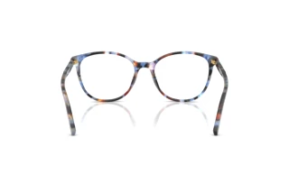 Rear view Dolce & Gabbana DG3425 (3443)