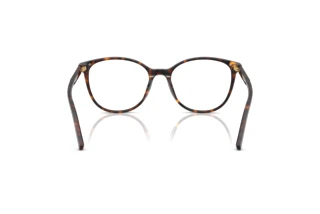 Rear view Dolce & Gabbana DG3425 (502)