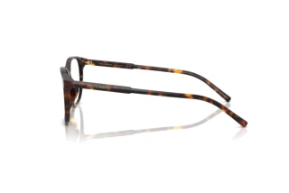 Side view Dolce & Gabbana DG3426 (502)