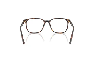 Rear view Dolce & Gabbana DG3426 (502)