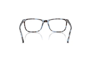 Rear view Dolce & Gabbana DG3427 (3392)