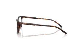 Side view Dolce & Gabbana DG3427 (502)
