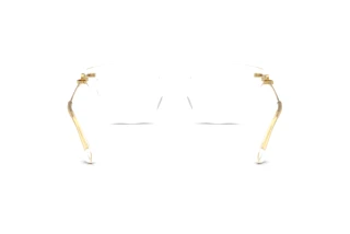 Rear view Dolce & Gabbana DG3428 (3133)