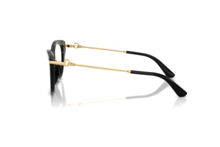 Side view Dolce & Gabbana DG3428 (501)