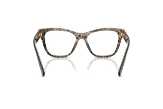 Rear view Dolce & Gabbana DG3430 (3299)