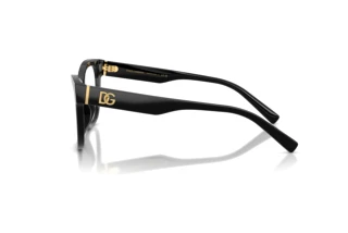 Side view Dolce & Gabbana DG3430 (501)